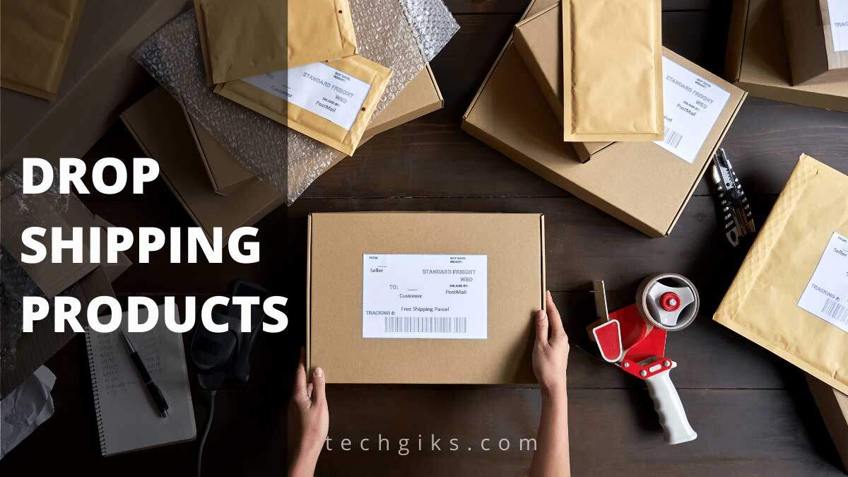 Top Dropshipping Products