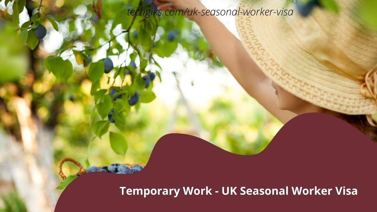 UK Seasonal Worker Visa