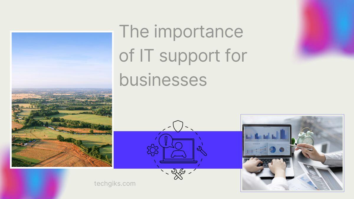 The importance of IT support for businesses